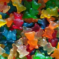 Ours - Lisse - Halal