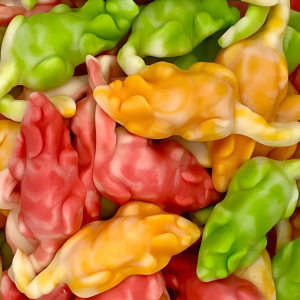 Souris aux fruits - halal